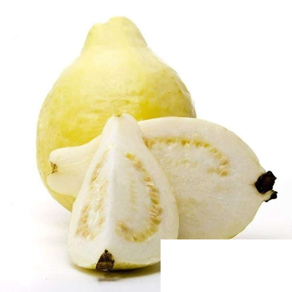 Fresh guava